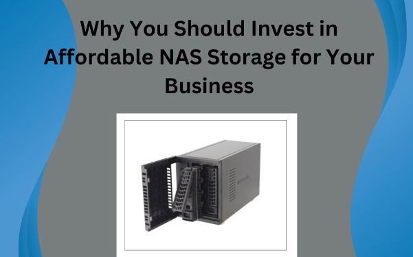 Why You Should Invest in Affordable NAS Storage for Your Business.